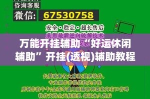 万能开挂辅助“好运休闲辅助”开挂(透视)辅助教程