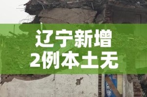 辽宁新增2例本土无症状在大连:辽宁新增11例本土确诊病例均在大连