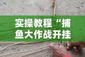 实操教程“捕鱼大作战开挂神器软件下载”(透视挂)辅助透视教程