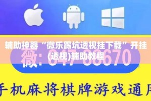 辅助神器“微乐踢坑透视挂下载”开挂(透视)辅助教程