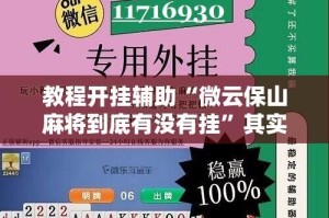 教程开挂辅助“微云保山麻将到底有没有挂”其实确实有挂