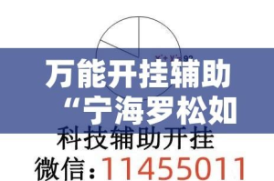 万能开挂辅助“宁海罗松如何开挂”(透视挂)辅助透视教程