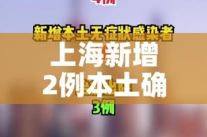 上海新增2例本土确诊病例:上海新增2例本土新冠肺炎确诊病例