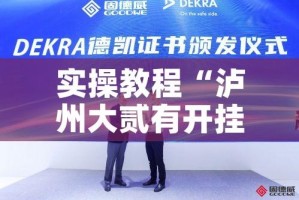 实操教程“泸州大贰有开挂辅助吗”透视开挂辅助教程