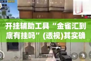 开挂辅助工具“金雀汇到底有挂吗”(透视)其实确实有挂