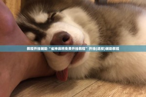 教程开挂辅助“雀神麻将免费开挂教程”开挂(透视)辅助教程