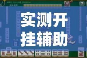 实测开挂辅助“皮皮云南麻将怎么开挂(辅助神器)开挂详细教程