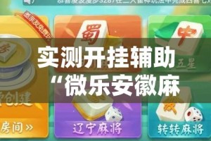 实测开挂辅助“微乐安徽麻将怎样免费开挂(辅助神器)开挂详细教程