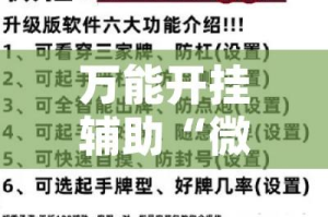 万能开挂辅助“微乐跑得快万能开挂器通用版下载”(透视挂)辅助透视教程