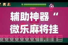 辅助神器“微乐麻将挂先试用后付款”开挂(透视)辅助教程