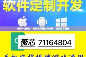 万能开挂辅助“微乐麻将挂试用一天”其实确实有挂
