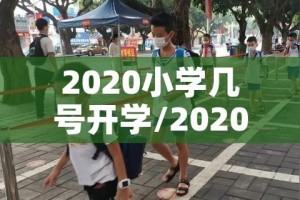 2020小学几号开学/20201年小学什么时候开学