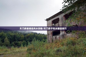 天刀房屋建造风水攻略/天刀房子风水建造技巧
