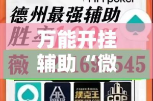万能开挂辅助“微乐龙江麻将万能开挂器”(透视挂)辅助透视教程
