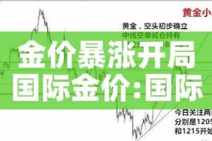金价暴涨开局国际金价:国际金价持续走高