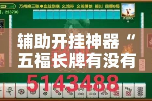 辅助开挂神器“五福长牌有没有挂”透视开挂辅助教程