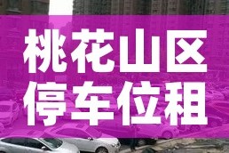 桃花山区停车位租金价格（桃花山区停车位租金价格表）