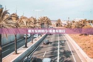 哪方车辆限行:哪里车限行