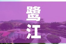 鹭江下渡村租金价格:鹭江村属于哪个镇