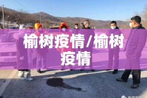 榆树疫情/榆树 疫情