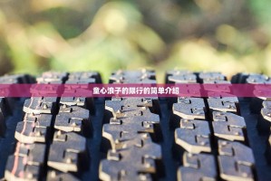 童心浪子的限行的简单介绍