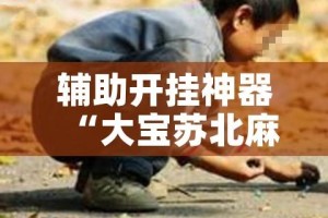 辅助开挂神器“大宝苏北麻将可以开挂吗”科技辅助神器手机版教程
