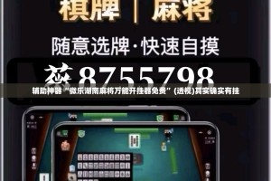 辅助神器“微乐湖南麻将万能开挂器免费”(透视)其实确实有挂