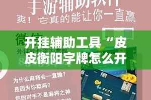 开挂辅助工具“皮皮衡阳字牌怎么开挂”其实确实有挂