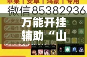 万能开挂辅助“山西大同麻将怎么开挂”(透视挂)辅助透视教程