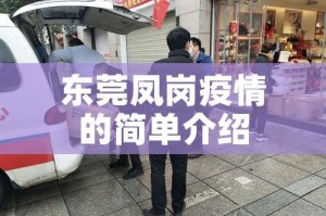 东莞凤岗疫情的简单介绍