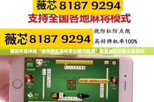 辅助开挂神器“微乐河北麻将怎么提高胜率”掌握辅助功能必胜规则