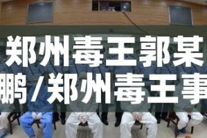 郑州毒王郭某鹏/郑州毒王事件