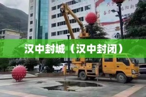汉中封城（汉中封闭）
