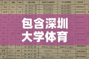 包含深圳大学体育馆租金价格的词条