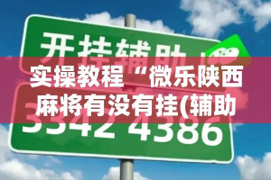 实操教程“微乐陕西麻将有没有挂(辅助神器)开挂详细教程