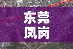 东莞凤岗疫情最新消息（东莞凤岗疫情最新情况）