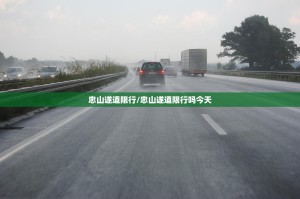 忠山遂道限行/忠山遂道限行吗今天
