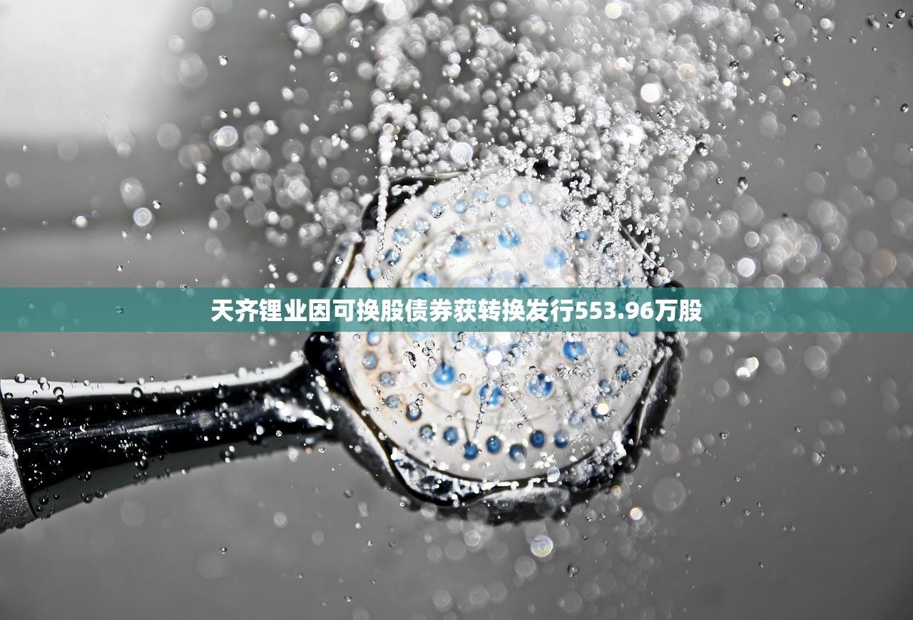 天齐锂业因可换股债券获转换发行553.96万股