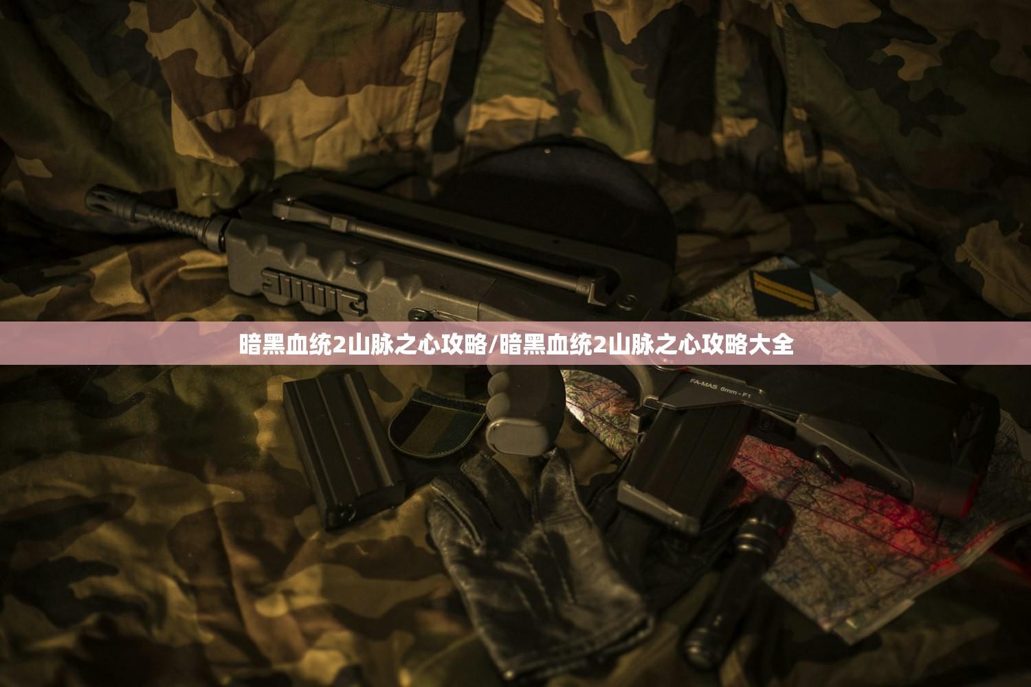 暗黑血统2山脉之心攻略/暗黑血统2山脉之心攻略大全