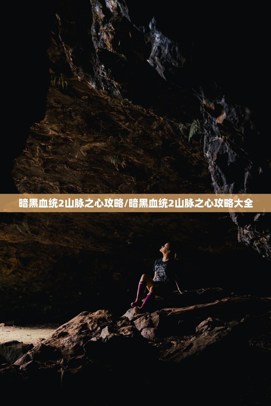 暗黑血统2山脉之心攻略/暗黑血统2山脉之心攻略大全