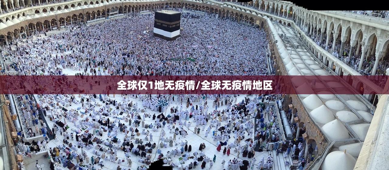 全球仅1地无疫情/全球无疫情地区