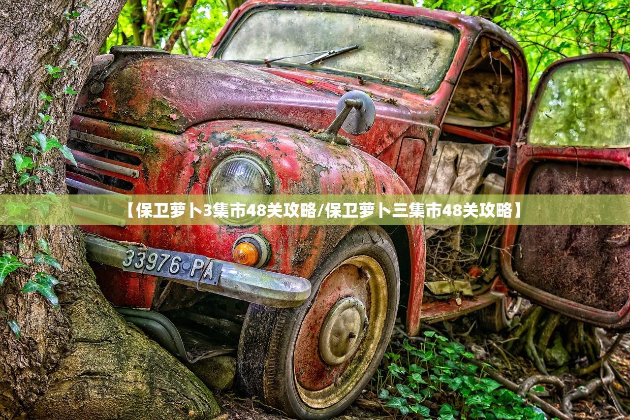 【保卫萝卜3集市48关攻略/保卫萝卜三集市48关攻略】