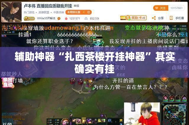 辅助神器“扎西茶楼开挂神器”其实确实有挂