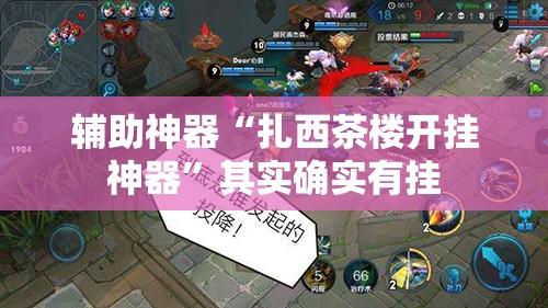 辅助神器“扎西茶楼开挂神器”其实确实有挂