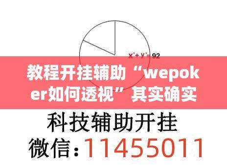 教程开挂辅助“wepoker如何透视	”其实确实有挂