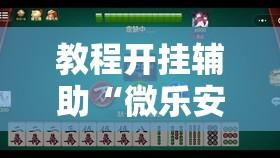 教程开挂辅助“微乐安徽麻将怎么开挂吗	”详细分享装挂步骤教程
