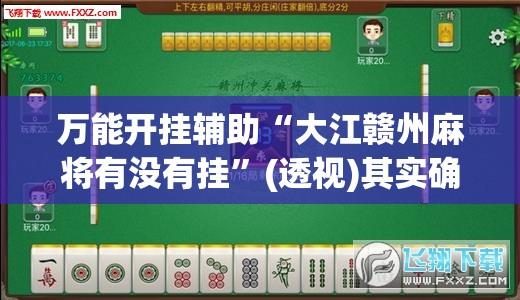 万能开挂辅助“大江赣州麻将有没有挂”(透视)其实确实有挂