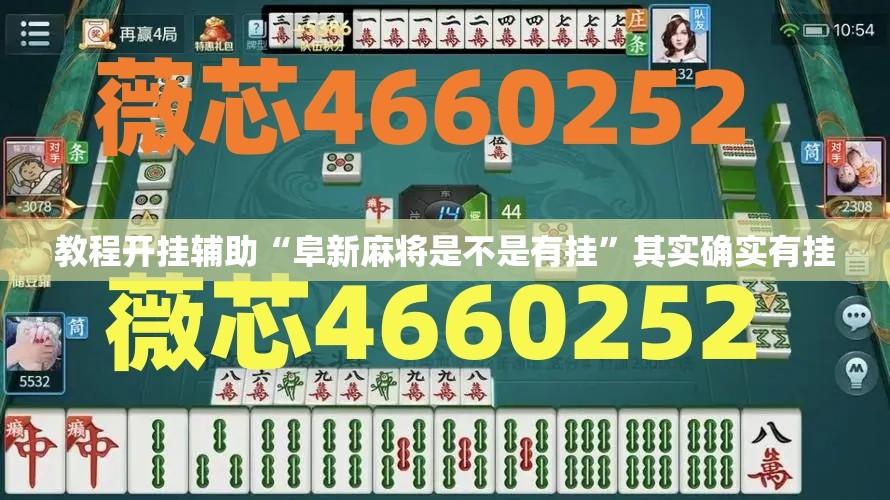 教程开挂辅助“阜新麻将是不是有挂	”其实确实有挂