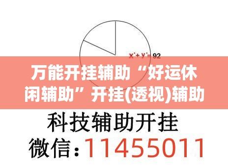 万能开挂辅助“好运休闲辅助”开挂(透视)辅助教程