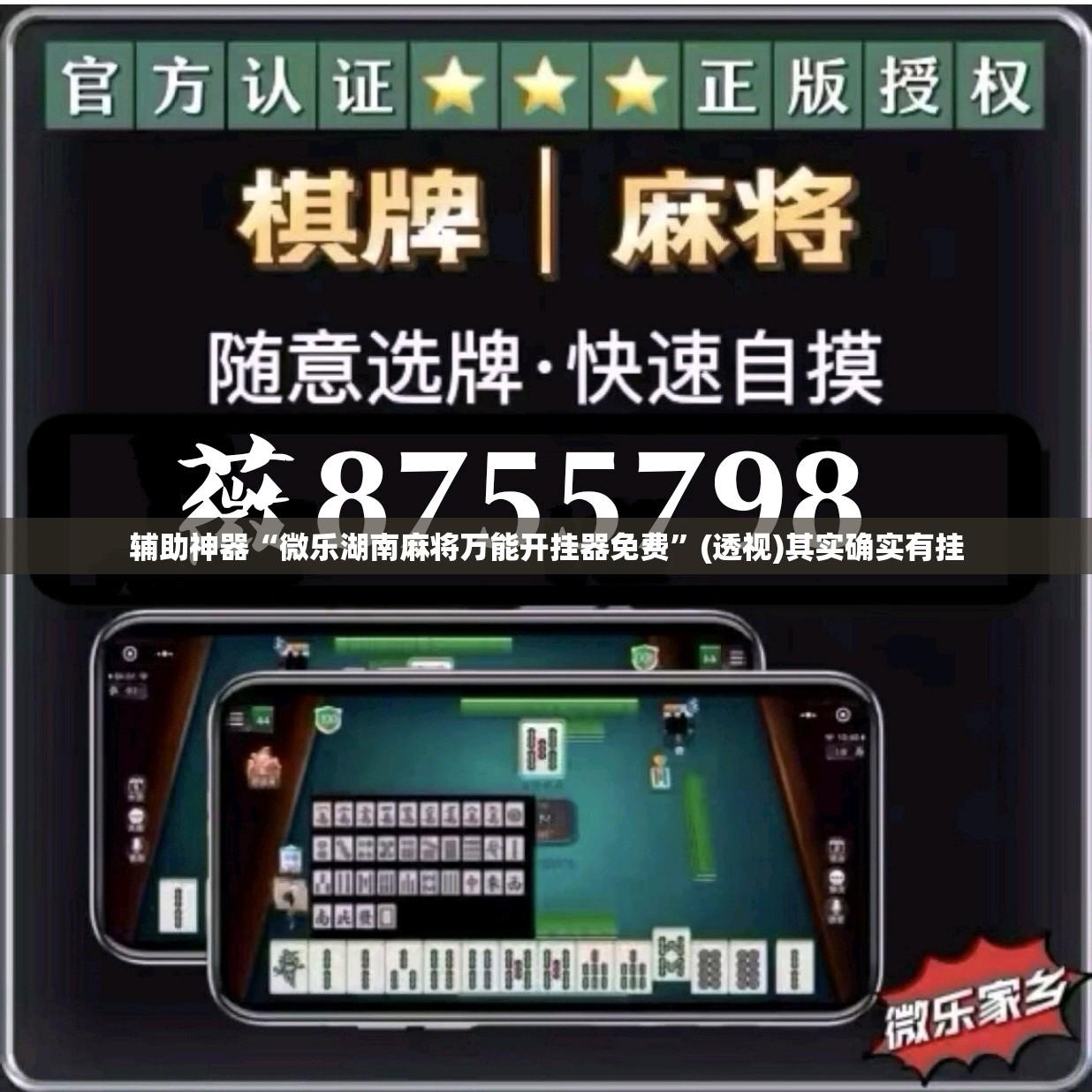 辅助神器“微乐湖南麻将万能开挂器免费	”(透视)其实确实有挂